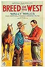 Breed of the West (1930)