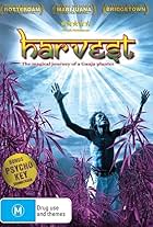 Harvest (2008)