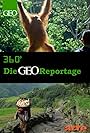 360° - Die GEO-Reportage (1999)