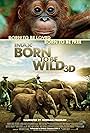 Born to Be Wild (2011)