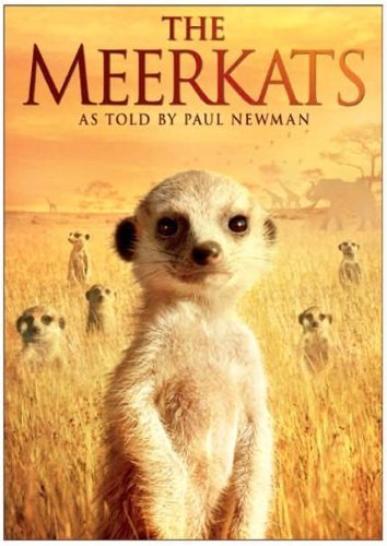 The Meerkats (2008)