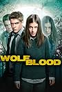 Wolfblood Secrets (2016)