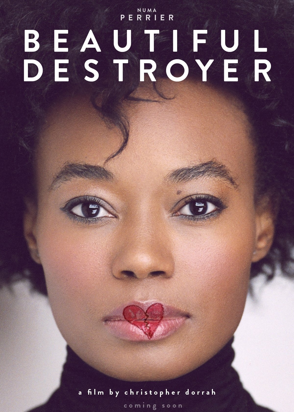 Beautiful Destroyer (2015)