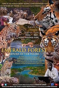 Primary photo for Emerald Forest Return of the Tigers