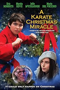 Primary photo for A Karate Christmas Miracle