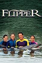 Le nuove avventure di Flipper