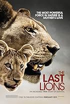 The Last Lions (2011)