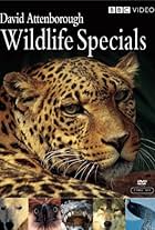 Wildlife Specials (1995)