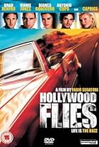 Hollywood Flies