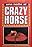 Une nuit au Crazy Horse