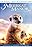 Meerkat Manor: The Story Begins