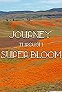 Journey Through Super Bloom (2020)