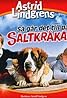 Så går det till på Saltkråkan (TV Series 1977–1978) Poster