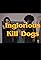 Inglorious Kill Dogs's primary photo