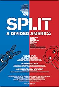 Split: A Divided America (2008)