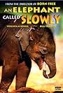 An Elephant Called Slowly (1970)