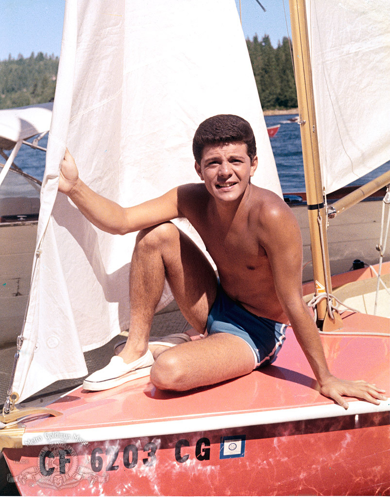 Frankie Avalon in I'll Take Sweden (1965)