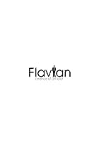 Flavian: Essence of an Idiot (2015)