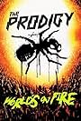 The Prodigy: World's on Fire (2011)