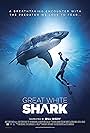 Great White Shark (2013)