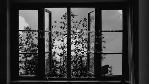 '24 Frames' is an experimental project made by filmmaker Abbas Kiarostami in the last three years of his life. It is a collection of 24 short four-and-a-half minutes films inspired by still images, including paintings and photographs.