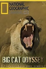 Primary photo for Big Cat Odyssey