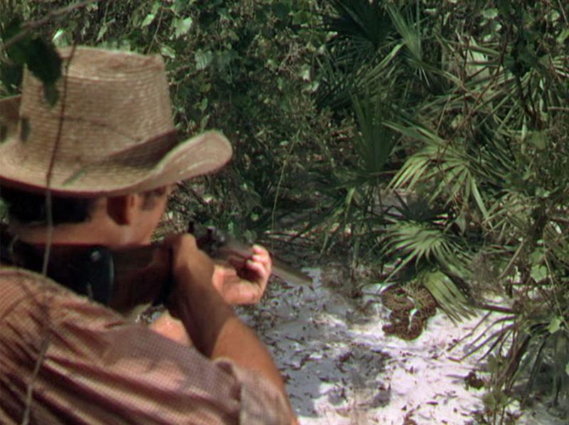 Gregory Peck in The Yearling (1946)