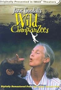 Primary photo for Jane Goodall's Wild Chimpanzees