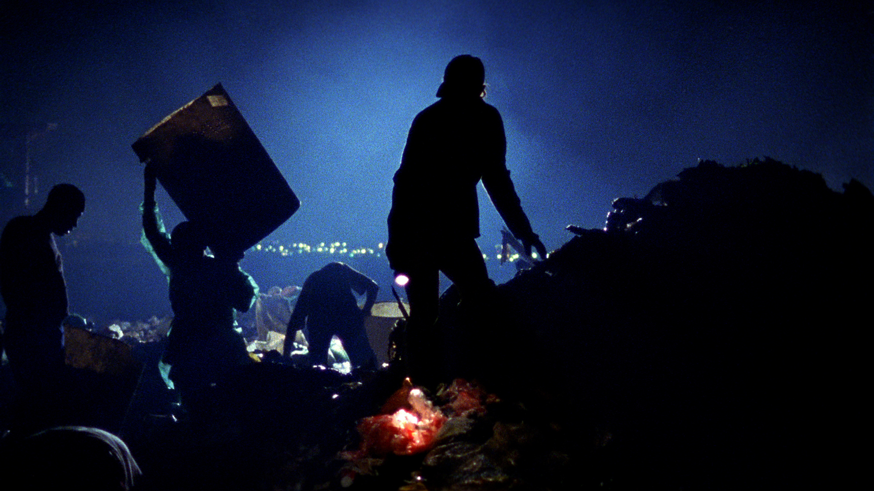 Waste Land (2010)