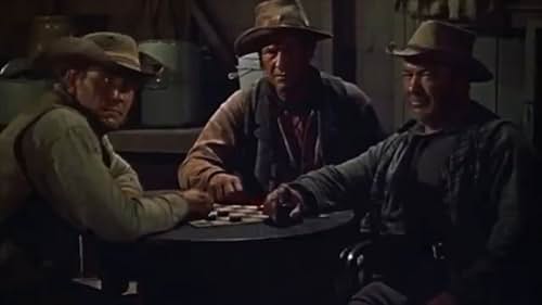 A bounty hunter, hired by Pinkerton, trails 3 unknown murderous train robbers to a town and finds a host of suspects.