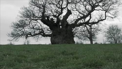 Four friends on vacation in England happen upon a remote monastery that is rumored to be haunted by a dark spirit.