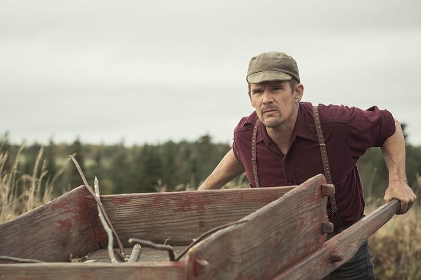 Ethan Hawke in Maudie (2016)