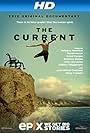 The Current: Explore the Healing Powers of the Ocean (2014)