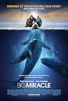 Big Miracle