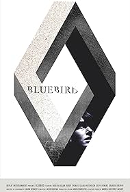 Bluebird (2015)