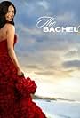 The Bachelor's Funniest Moments (2013)