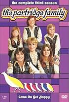 The Partridge Family