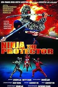 Primary photo for Ninja the Protector