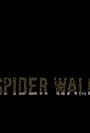 Spider Walk (2011)