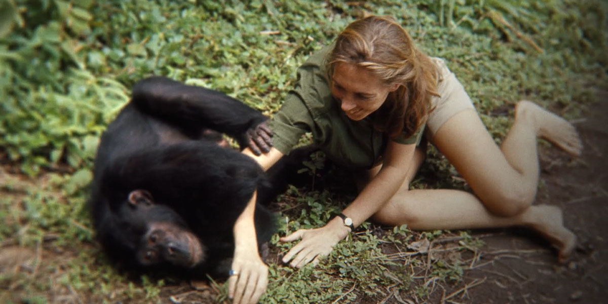 Jane Goodall in Jane (2017)