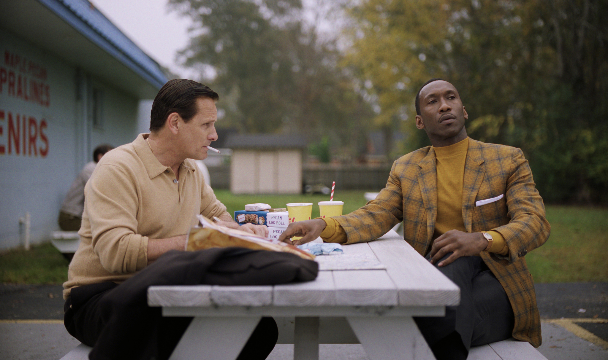 Viggo Mortensen and Mahershala Ali in Green Book (2018)