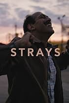 Strays