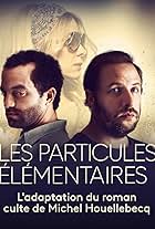 Les particules élémentaires