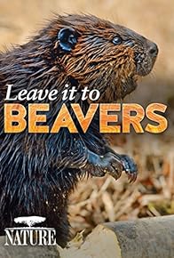 Primary photo for Leave It to Beavers