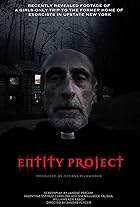 Entity Project