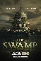 The Swamp (2020)