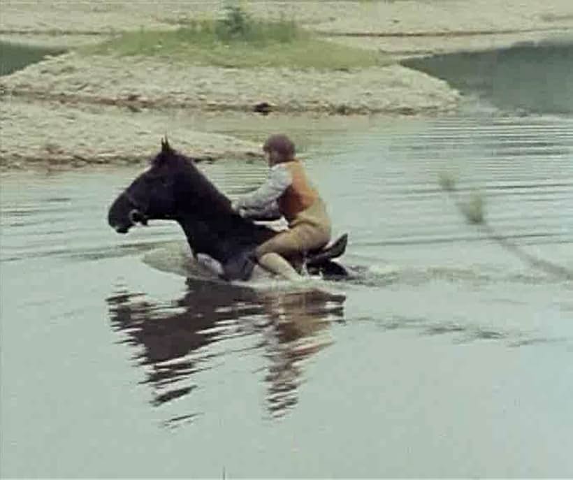 Stephen Garlick in The Adventures of Black Beauty (1972)