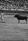 Corrida (1929)