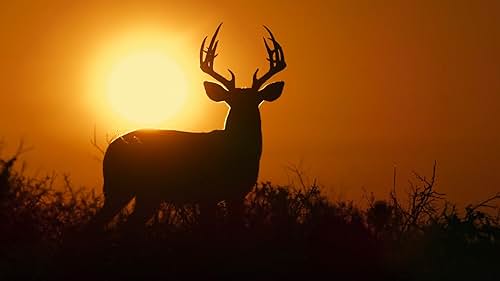 A visually stunning celebration of what makes Texas unique,  its diverse landscapes and remarkable wildlife behavior that cannot be found anywhere else in the world.