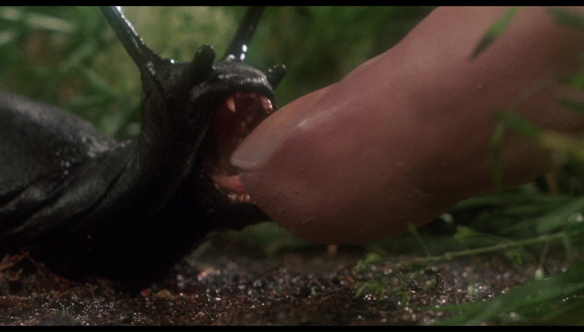 Slugs (1988)